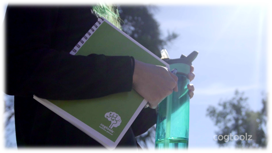 Cogtoolz Wellness Planners (undated)