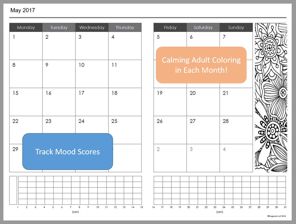 Cogtoolz Wellness Planners (undated)