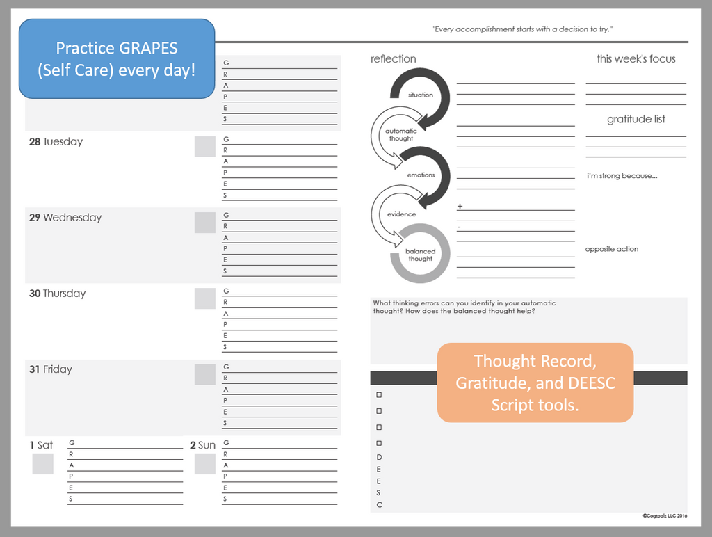 Cogtoolz Wellness Planners (undated)