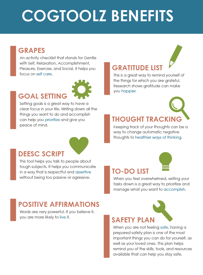 Cogtoolz Wellness Planners (undated)